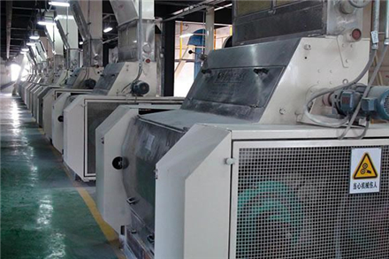 Soybean oil extraction production line